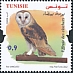 Tunisia 2022 Raptors of Tunisia 