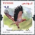 Tunisia 2022 Raptors of Tunisia 
