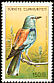 European Roller Coracias garrulus  1976 Turkish birds 
