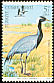 Demoiselle Crane Grus virgo  1979 Wildlife conservation 5v set