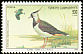 Northern Lapwing Vanellus vanellus