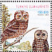 Tawny Owl Strix aluco