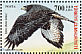Common Buzzard Buteo buteo  2004 World environment day Sheet