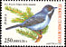 Rüppell's Warbler Curruca ruppeli  2004 Bird definitives 