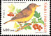 Melodious Warbler Hippolais polyglotta  2004 Bird definitives 