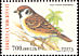 Eurasian Tree Sparrow Passer montanus