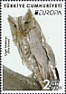 Pallid Scops Owl Otus brucei  2019 Europa 