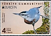 KrÃ¼per's Nuthatch Sitta krueperi  2019 Europa 