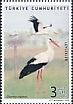 White Stork Ciconia ciconia  2020 Storks 