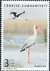 Yellow-billed Stork Mycteria ibis