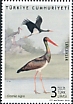 Black Stork Ciconia nigra