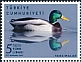 Mallard Anas platyrhynchos  2022 Reflections 2v set