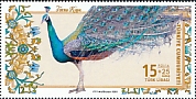 Indian Peafowl Pavo cristatus