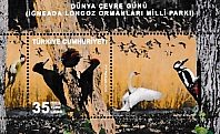 Click for enlargement