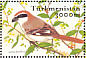 Red-tailed Shrike Lanius phoenicuroides  2002 Birds Sheet