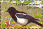 Eurasian Magpie Pica pica  2002 Birds Sheet