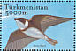 Sand Martin Riparia riparia  2002 Birds  MS