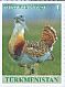 Great Bustard Otis tarda