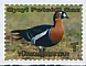 Red-breasted Goose Branta ruficollis  2020 Fauna 4v set, sa