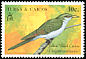 Yellow-billed Cuckoo Coccyzus americanus  1990 Birds 