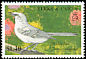 Northern Mockingbird Mimus polyglottos  1990 Birds 