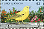American Yellow Warbler Setophaga aestiva  1990 Birds  MS MS
