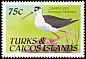 Black-necked Stilt Himantopus mexicanus  1990 Birds 