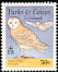 American Barn Owl Tyto furcata  1995 Birds 