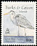 Great Blue Heron Ardea herodias  1995 Birds 
