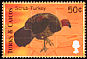 Australian Brushturkey Alectura lathami  2000 Birds of the Caribbean 