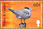 Royal Tern Thalasseus maximus  2000 Birds of the Caribbean Sheet
