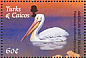 American White Pelican Pelecanus erythrorhynchos  2002 Birds Sheet