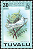 White Tern Gygis alba  1978 Wild birds 