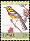 Townsend's Warbler Setophaga townsendi  1985 Audubon 