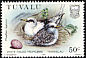 White-tailed Tropicbird Phaethon lepturus  1985 Birds and their eggs 