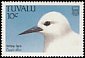 White Tern Gygis alba  1988 Birds 