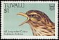 Pacific Long-tailed Cuckoo Urodynamis taitensis  1988 Birds 