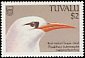 Red-tailed Tropicbird Phaethon rubricauda  1988 Birds 