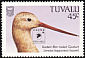 Bar-tailed Godwit Limosa lapponica  1994 SINGPEX 94 