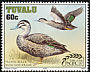 Pacific Black Duck Anas superciliosa  1997 Pacific 97 4v set