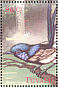 Superb Fairywren Malurus cyaneus  2000 Birds of the South Pacific Sheet