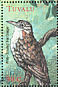 White-throated Treecreeper Cormobates leucophaea  2000 Birds of the South Pacific Sheet