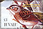 Grasshopper Sparrow Ammodramus savannarum  2003 Birds  MS