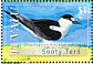 Sooty Tern Onychoprion fuscatus  2008 Birds of Tuvalu Sheet