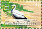 Masked Booby Sula dactylatra  2008 Birds of Tuvalu Sheet