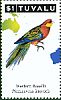 Western Rosella Platycercus icterotis  2011 Parrots of the South Pacific 