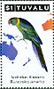 Australian Ringneck Barnardius zonarius  2011 Parrots of the South Pacific 