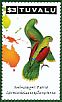 Red-winged Parrot Aprosmictus erythropterus