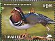 Mandarin Duck Aix galericulata  2014 Ducks Sheet