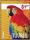 Scarlet Macaw Ara macao  2014 Macaws Sheet, birds alike, backgrounds differs